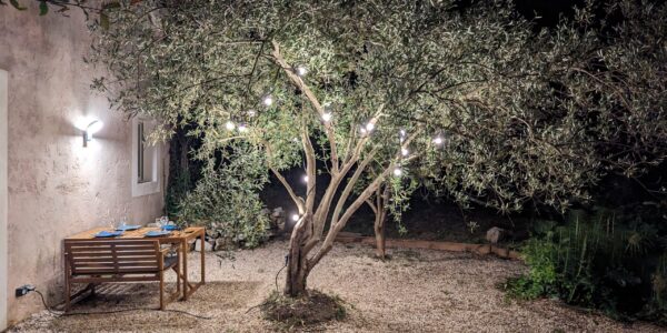 Olivier, Amazing, Terrasse, Vayoux